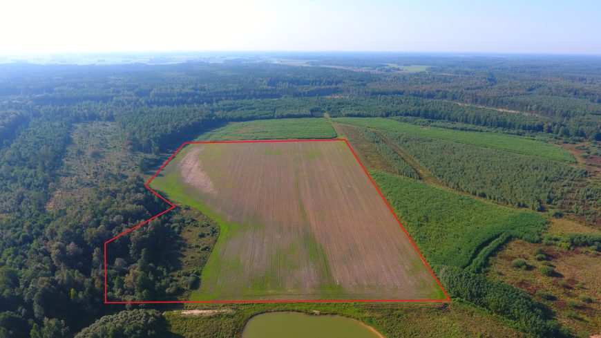 Žemės ūkio paskirties sklypas Žaliojoje girioje