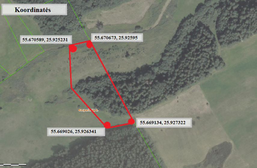 113 a žemės sklypas su brandžiu mišku, Gaspariškės km. Zarasų r. – nuotrauka 12