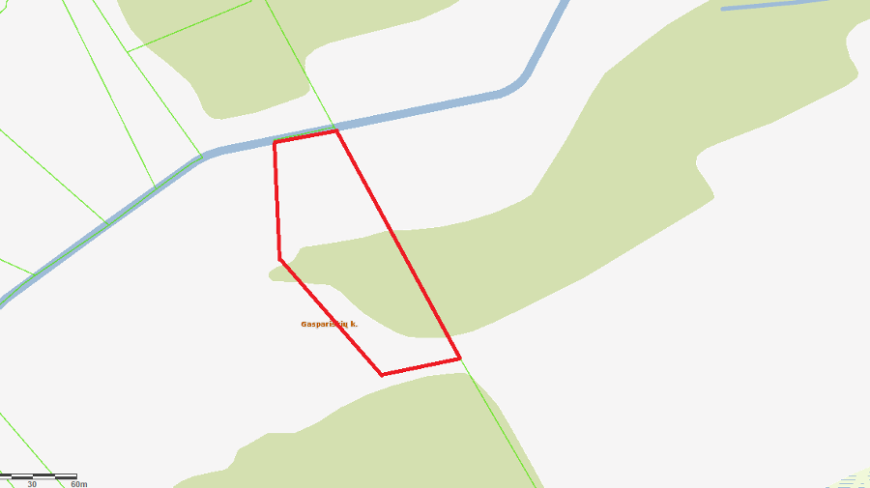 113 a žemės sklypas su brandžiu mišku, Gaspariškės km. Zarasų r. – nuotrauka 13