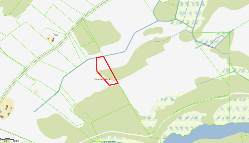 113 a žemės sklypas su brandžiu mišku, Gaspariškės km. Zarasų r. – nuotrauka 14