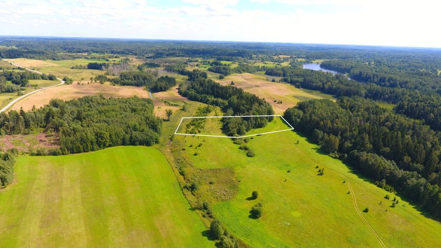 113 a žemės sklypas su brandžiu mišku, Gaspariškės km. Zarasų r. – nuotrauka 2