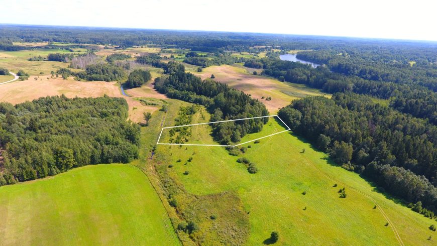 113 a žemės sklypas su brandžiu mišku, Gaspariškės km. Zarasų r. – nuotrauka 3