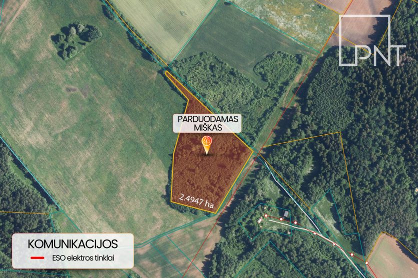 Jaunas 2,49 ha miškas Rokiškio r., Sėdžiūnų k. Rokiškio r. – nuotrauka 3