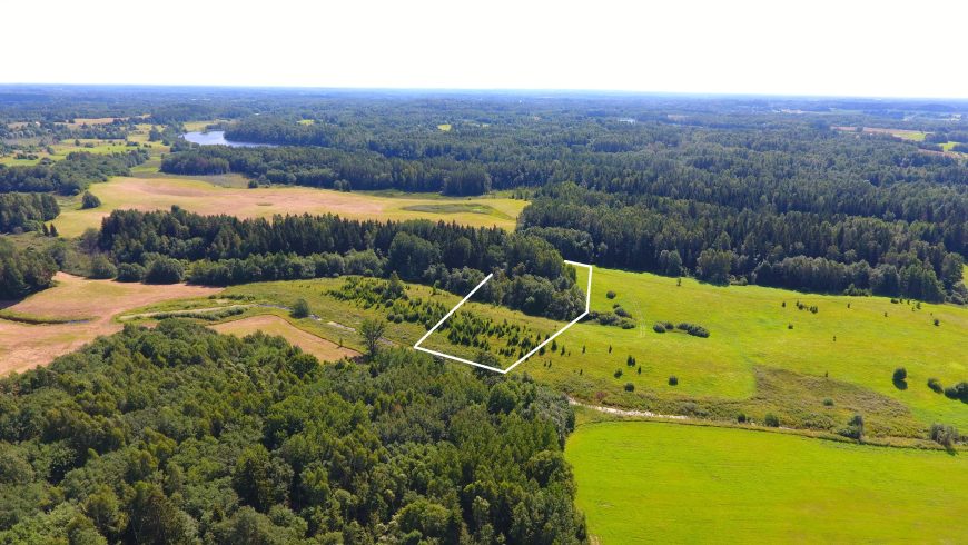 113 a žemės sklypas su brandžiu mišku, Gaspariškės km. Zarasų r. – nuotrauka 4