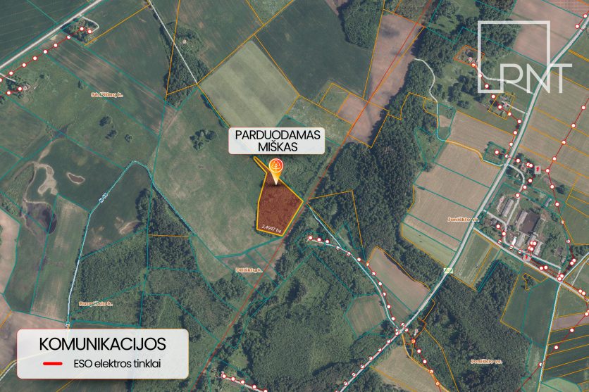 Jaunas 2,49 ha miškas Rokiškio r., Sėdžiūnų k. Rokiškio r. – nuotrauka 4