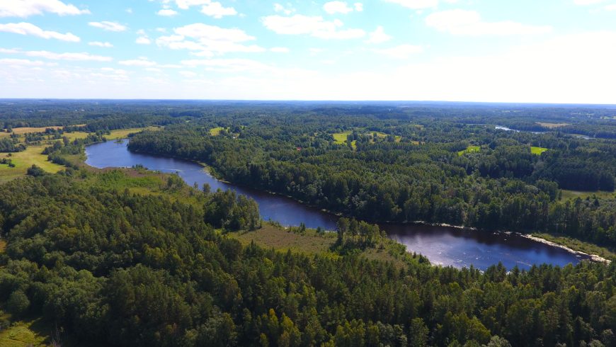 113 a žemės sklypas su brandžiu mišku, Gaspariškės km. Zarasų r. – nuotrauka 6