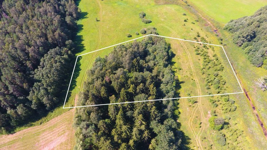 113 a žemės sklypas su brandžiu mišku, Gaspariškės km. Zarasų r. – nuotrauka 8
