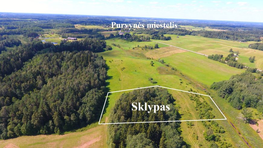 113 a žemės sklypas su brandžiu mišku, Gaspariškės km. Zarasų r. – nuotrauka 9