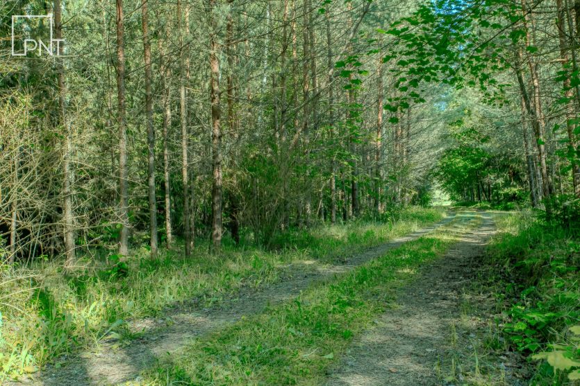 Išskirtinė poilsiavietė su statiniais prie tvenkinio, Kakūnai, Panevėžio r. – nuotrauka 15