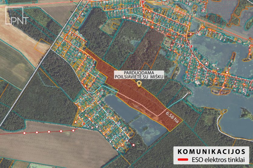 Išskirtinė poilsiavietė su statiniais prie tvenkinio, Kakūnai, Panevėžio r. – nuotrauka 19