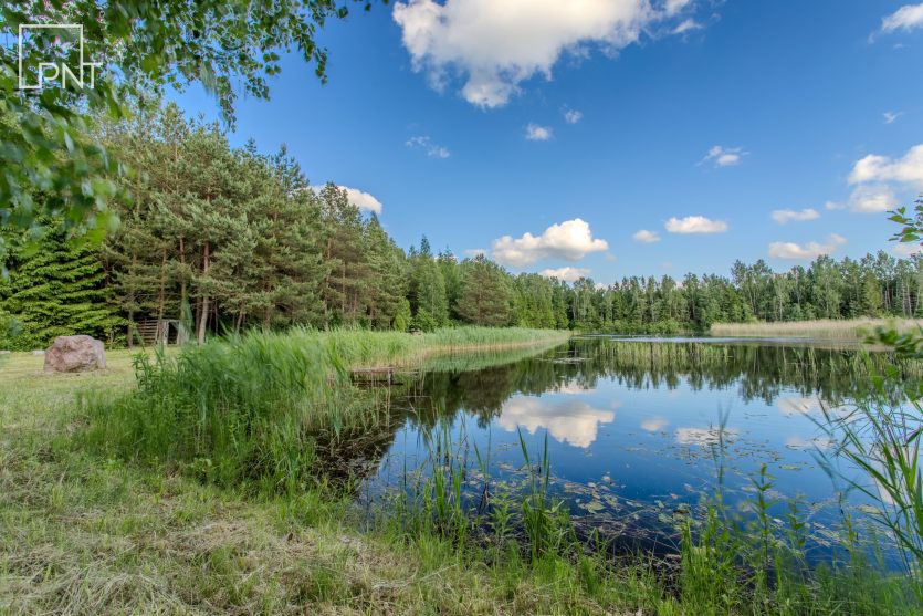 Išskirtinė poilsiavietė su statiniais prie tvenkinio, Kakūnai, Panevėžio r. – nuotrauka 6