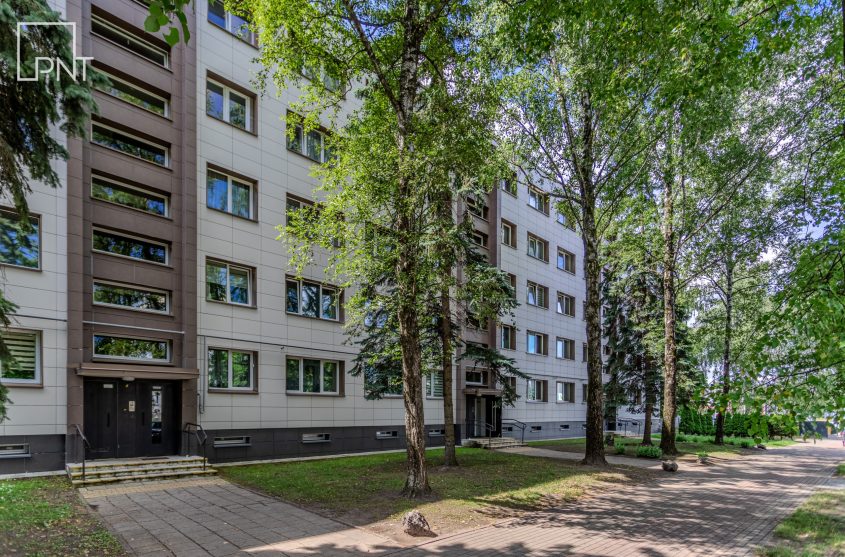 Jaukus 2 kambarių butas renovuotame name, Parko g. 7, Panevėžys, Tulpės – nuotrauka 2